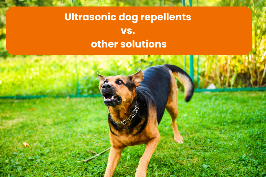 A barking dog stands on a green lawn in a garden, with a mesh fence and vegetation visible in the background. The dog has black and brown fur.