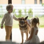 A German Shepherd at the threshold of the entrance to a house, with two young children around it, stroking the animal.