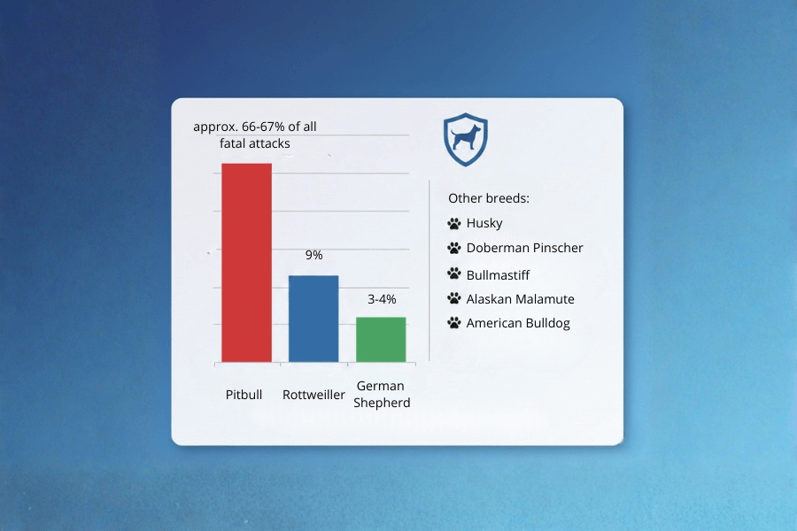 Statistics on bites by aggressive dogs worldwide