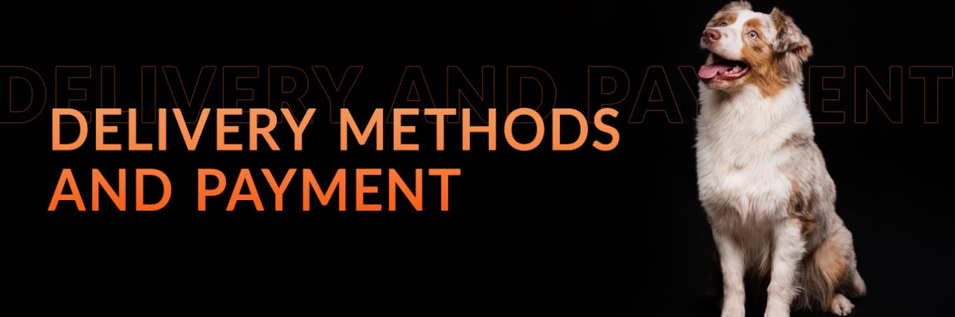 Baner DELIVERY AND PAYMENT